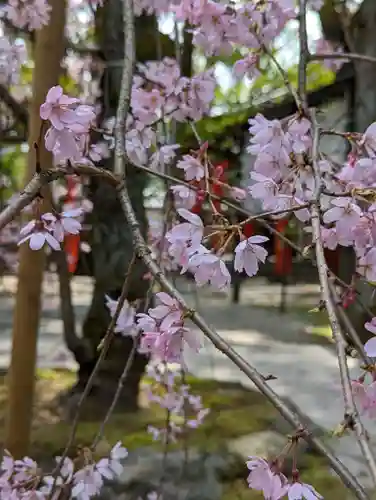 岡崎神社(京都府)