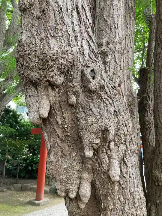 由比若宮(元鶴岡八幡宮)(神奈川県)