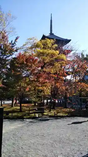 東寺（教王護国寺）の庭園