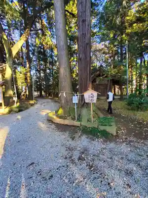 間々田八幡宮(栃木県)