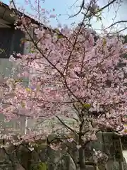 宝満宮竈門神社の自然