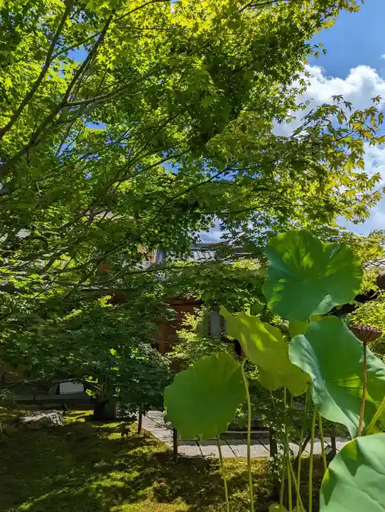 勝林寺(京都府)