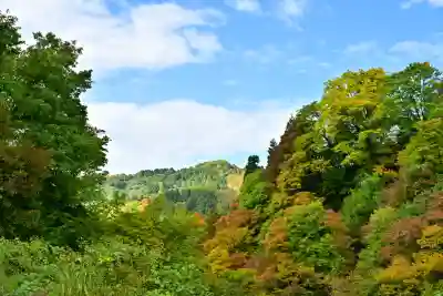 高龍神社　奥之院(新潟県)