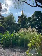 高幡不動尊　金剛寺の庭園