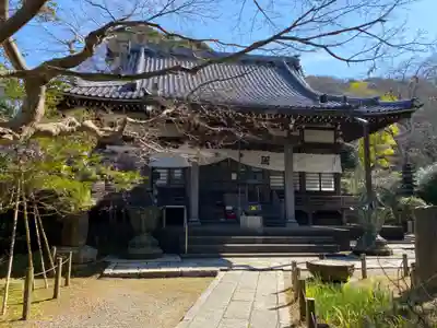 安國論寺（安国論寺）の本殿・本堂