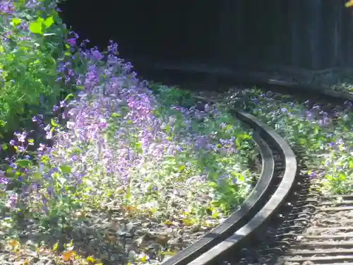 御霊神社の周辺
