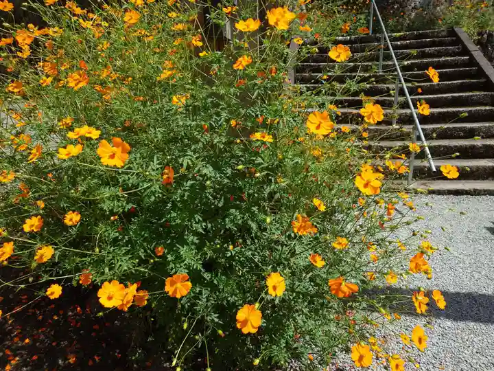 夫婦木神社(山梨県)