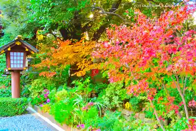 東京大神宮(東京都)