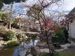 常保寺の庭園