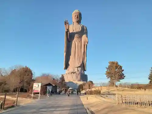 東本願寺本廟 牛久浄苑（牛久大仏）(茨城県)