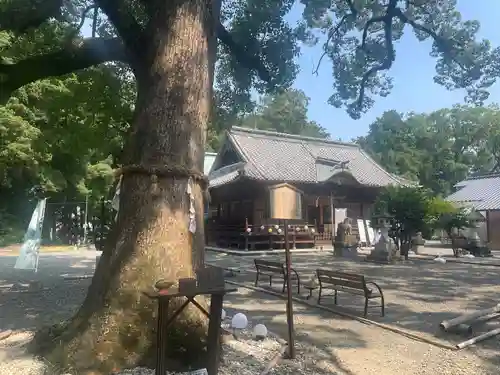 福母八幡宮(佐賀県)