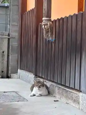 住吉神社(京都府)