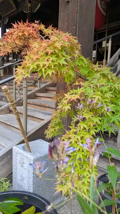 行願寺(革堂)(京都府)