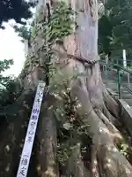 薬師神社(青森県)