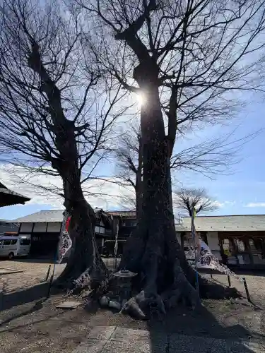 八枝神社の{uncategorized: "未分類", other: "その他", undefined: "問題あり", building: "その他建物", grave: "お墓", sacred_gate: "鳥居", guardian: "狛犬", statue: "像", buddha: "仏像", history: "歴史", nature: "自然", garden: "庭園", animal: "動物", pagoda: "塔", temizu: "手水舎", mountain_gate: "山門・神門", sanctuary: "本殿・本堂", subordinate: "末社・摂社", art: "芸術", scenery: "景色", jizo: "地蔵", ema: "絵馬", goshuin: "御朱印", omikuji: "おみくじ", items: "授与品その他", amulet: "お守り", goshuincho: "御朱印帳", eats: "食事", festival: "お祭り", votive_dance: "神楽", shichigosan: "七五三参", wedding: "結婚式", experience: "体験その他", initially: "初詣", around: "周辺", anti_infection: "感染症対策"}