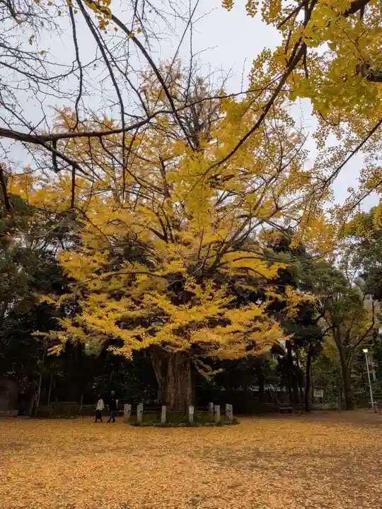 赤坂氷川神社(東京都)