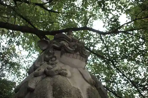 寒川神社の狛犬