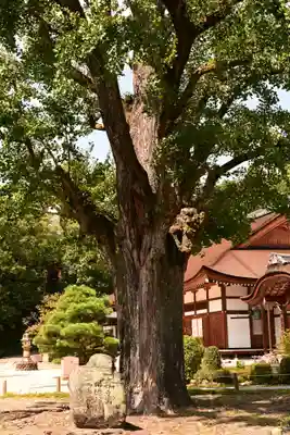 永保寺(岐阜県)