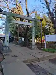 大井氷川神社(埼玉県)