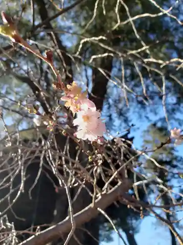 妙法寺(東京都)