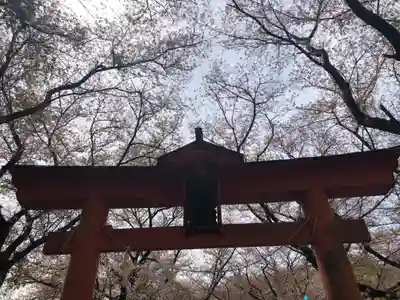 東蕗田天満社の鳥居