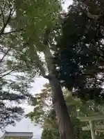 稲生神社(千葉県)