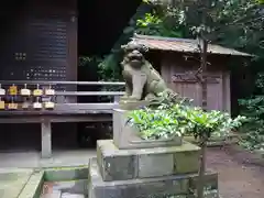 冨塚八幡宮の狛犬