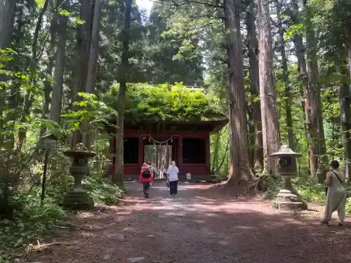 戸隠神社奥社(長野県)