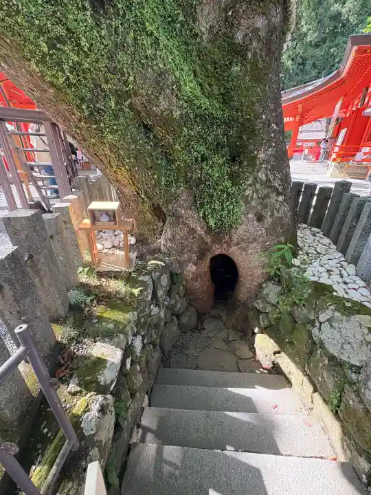 熊野那智大社の{uncategorized: "未分類", other: "その他", undefined: "問題あり", building: "その他建物", grave: "お墓", sacred_gate: "鳥居", guardian: "狛犬", statue: "像", buddha: "仏像", history: "歴史", nature: "自然", garden: "庭園", animal: "動物", pagoda: "塔", temizu: "手水舎", mountain_gate: "山門・神門", sanctuary: "本殿・本堂", subordinate: "末社・摂社", art: "芸術", scenery: "景色", jizo: "地蔵", ema: "絵馬", goshuin: "御朱印", omikuji: "おみくじ", items: "授与品その他", amulet: "お守り", goshuincho: "御朱印帳", eats: "食事", festival: "お祭り", votive_dance: "神楽", shichigosan: "七五三参", wedding: "結婚式", experience: "体験その他", initially: "初詣", around: "周辺", anti_infection: "感染症対策"}