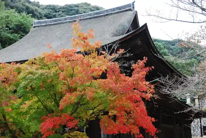 功山寺(山口県)