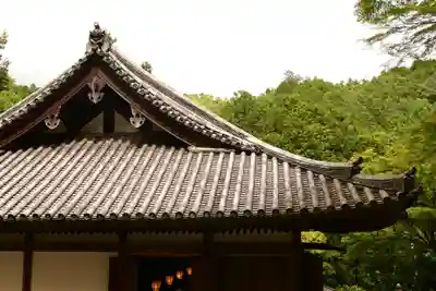 愛宕念仏寺(京都府)