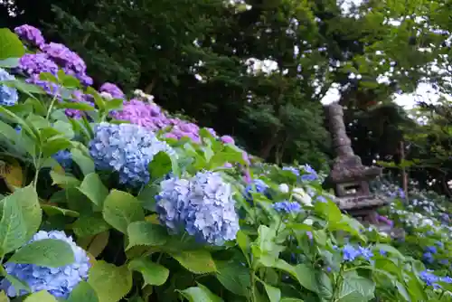 長谷寺の庭園