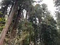 大宮温泉神社(栃木県)