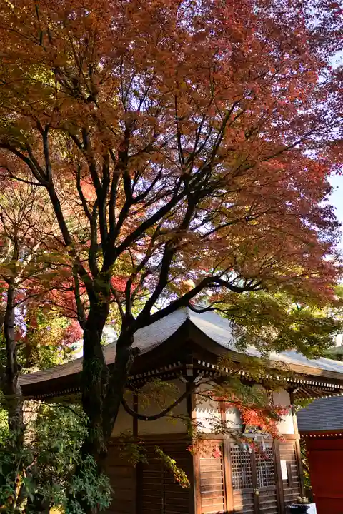 高尾山薬王院のその他建物