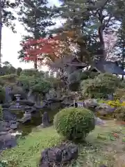 正福寺の庭園