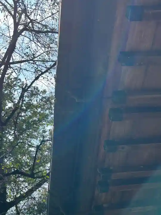 野木神社(栃木県)