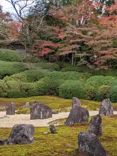 光明院（光明禅院）の庭園