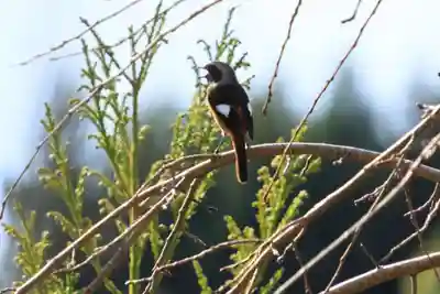 大六天麻王神社(福島県)