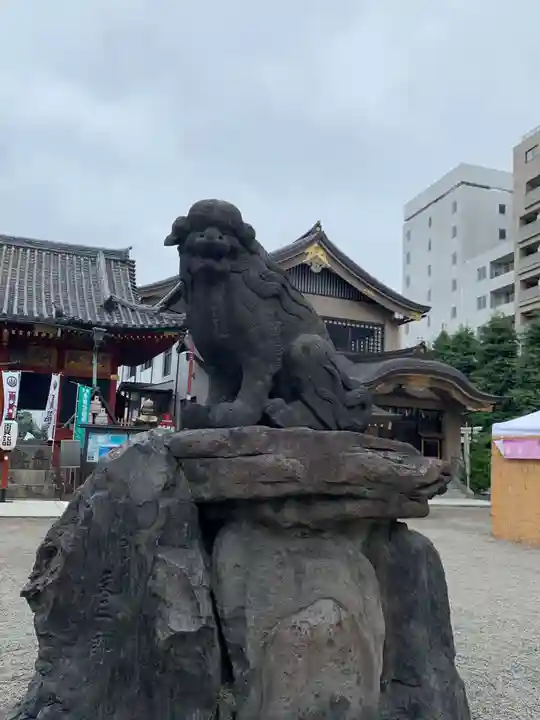 浅草神社の狛犬