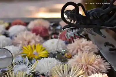 蛇窪神社の手水舎
