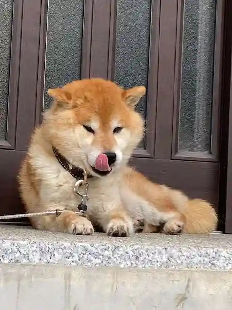普賢寺(福島県)