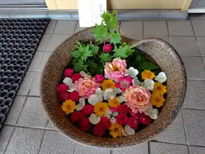 美瑛神社の手水舎