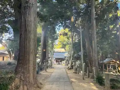 日吉神社(千葉県)
