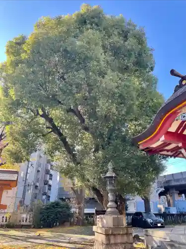 大森神社(東京都)