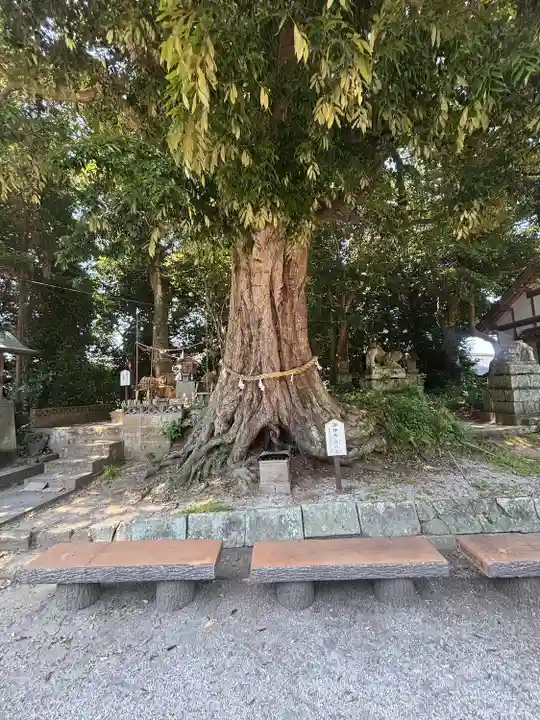 揖夜神社(島根県)