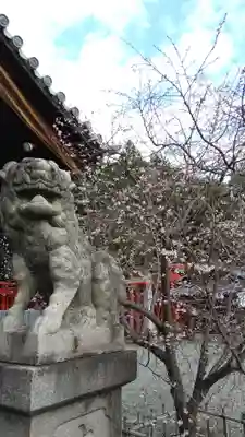 白山神社(木曽川町黒田)の狛犬