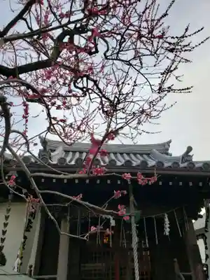 本性寺の本殿・本堂