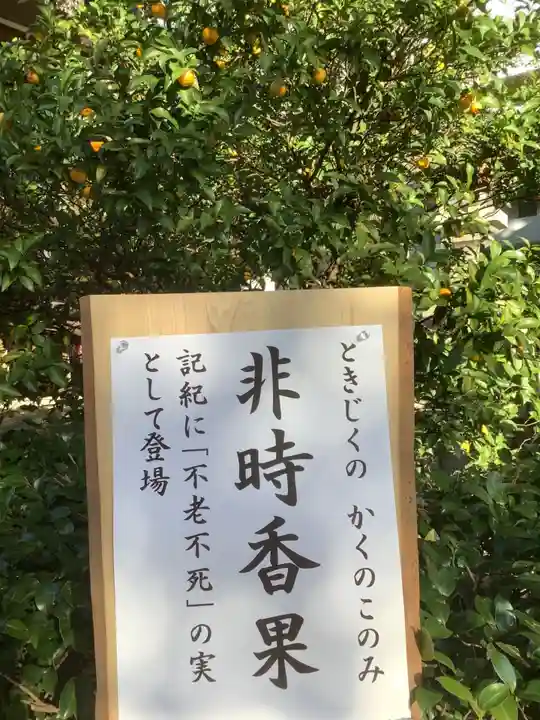 若宮八幡社のその他建物