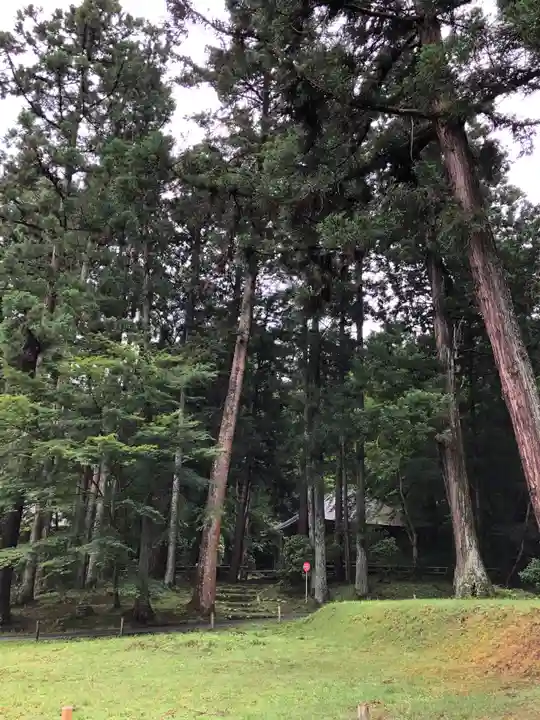 中尊寺のその他建物