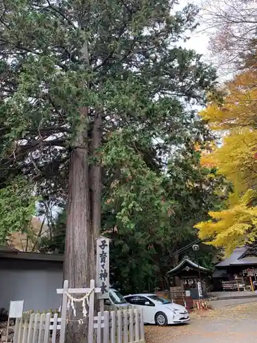 新倉富士浅間神社のその他建物